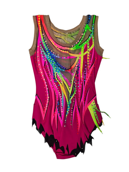 Leotard Nothern lights