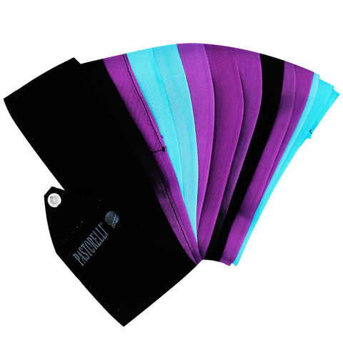 Ribbon Pastorelli 5m (Black-Sky blue-Violet)